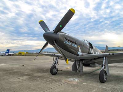 News/2018-2020/P-51.jpg